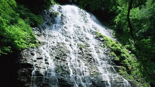 精密高效独特